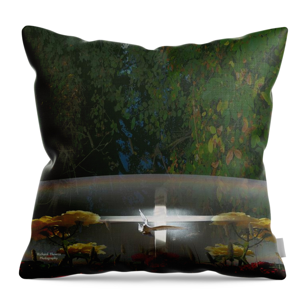 Digital Painting Throw Pillow featuring the photograph Well of Salvation by Richard Thomas