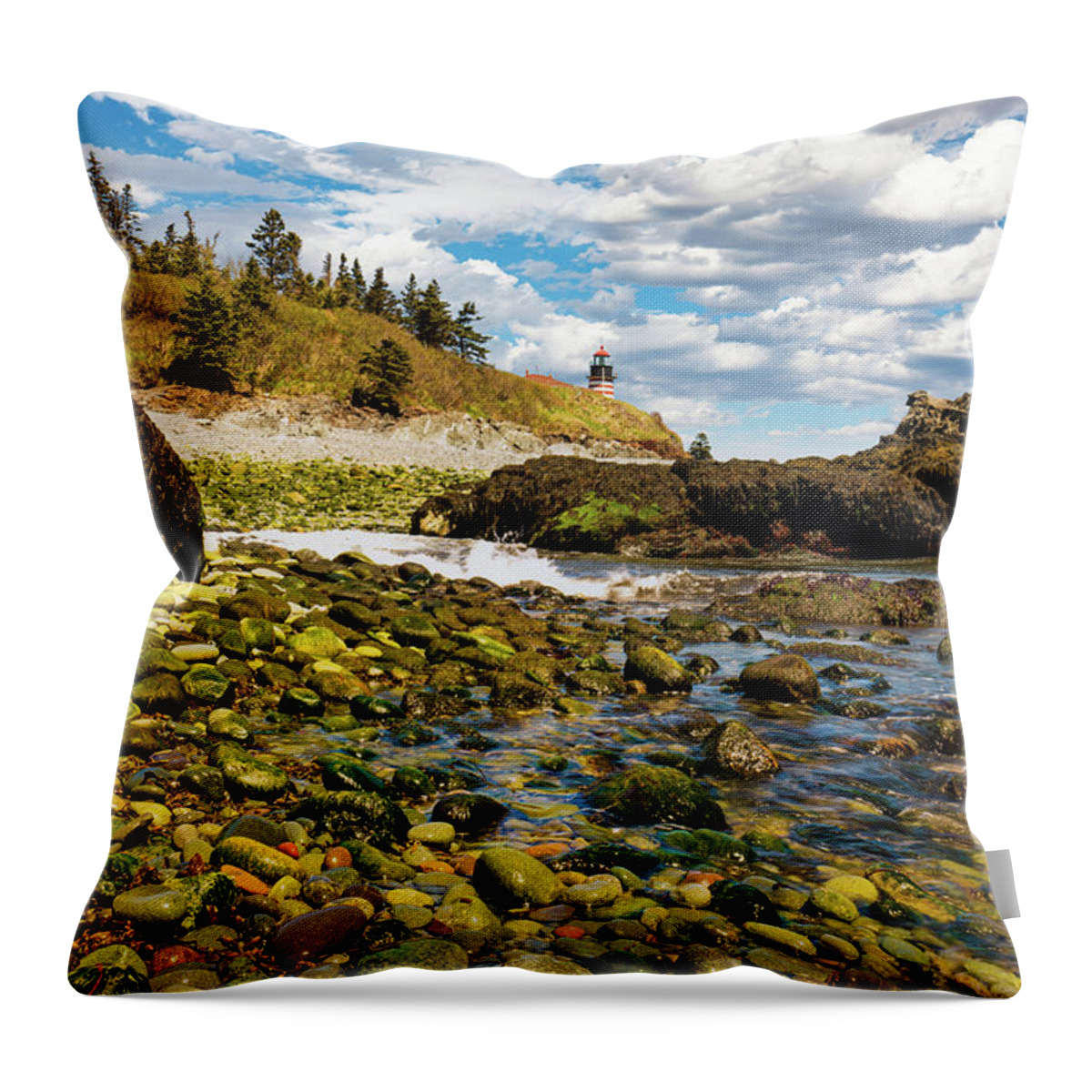 West Quoddy Head Throw Pillow featuring the photograph West Quoddy Head Seascape by Ron Long Ltd Photography