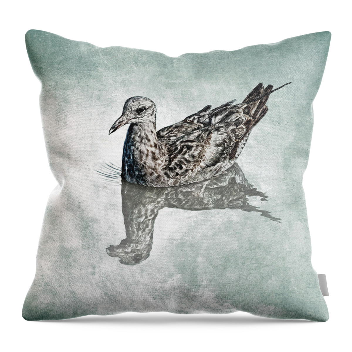 Arrowhead Marsh Throw Pillow featuring the photograph Western Gull by Mike Gifford