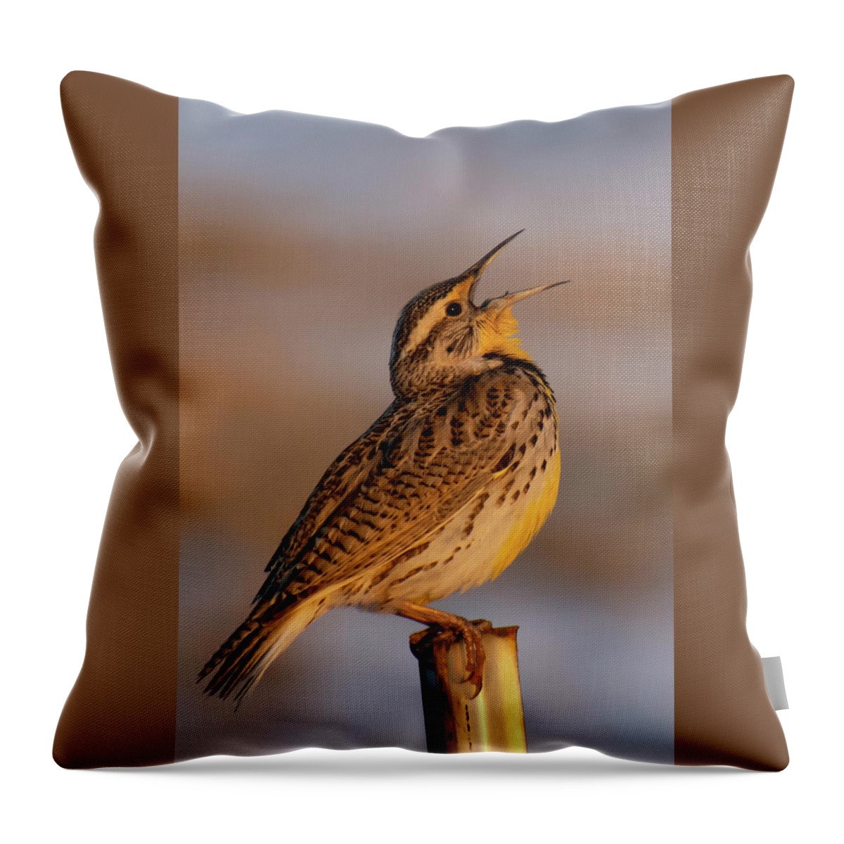 Western Meadowlark Throw Pillow featuring the photograph Western Meadowlark at Sunrise by Cascade Colors