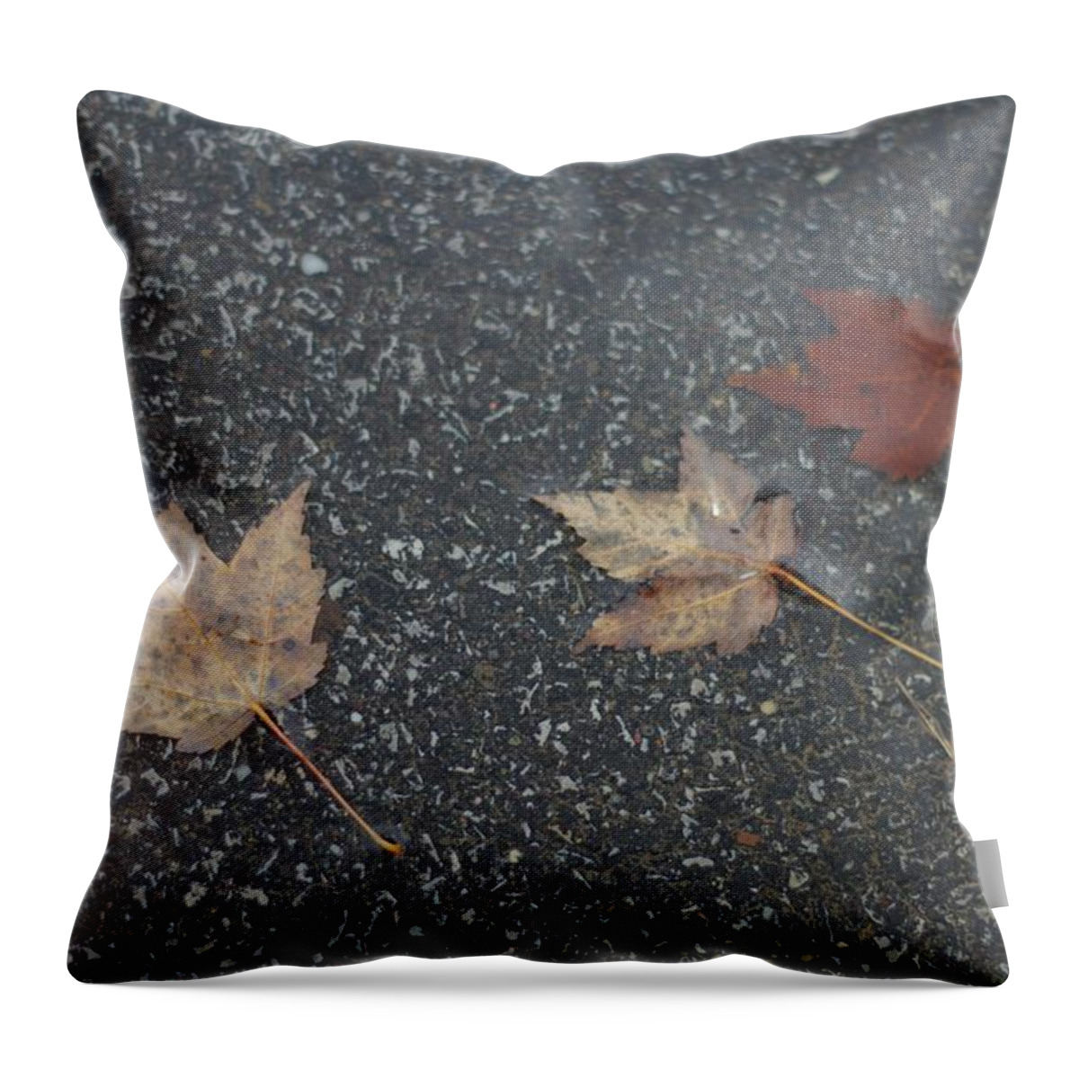 Leaves Throw Pillow featuring the photograph Wet Autumn Leaves in a Puddle by Valerie Collins