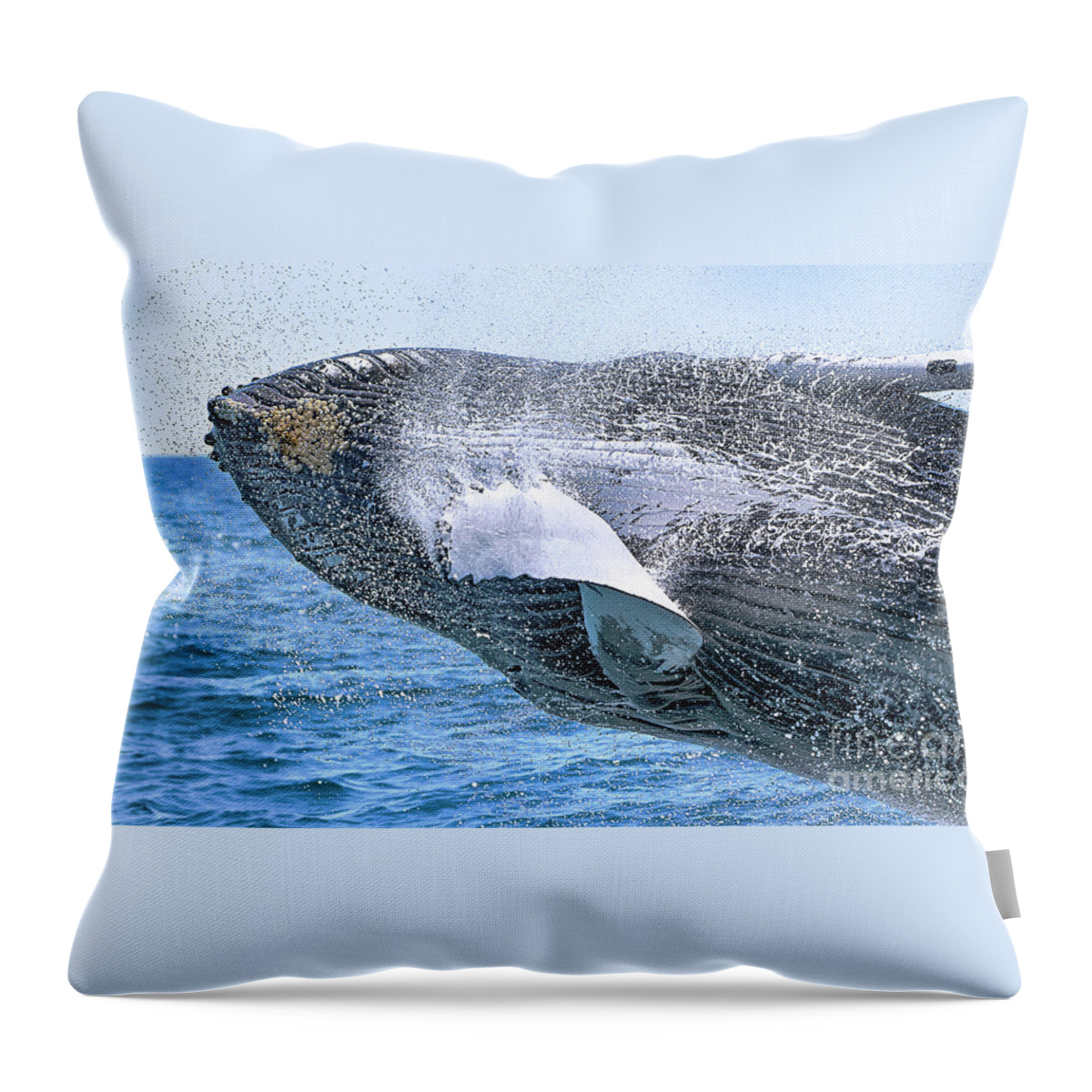 New England Throw Pillow featuring the photograph Whale Ahoy - Breaching Humpback by Rehna George