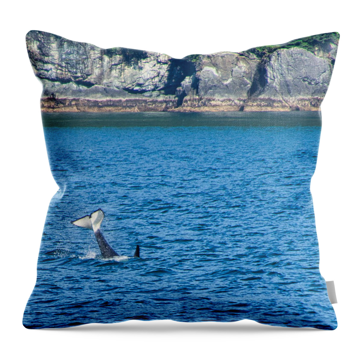 Orca Throw Pillow featuring the photograph Whale Tail by Steph Gabler