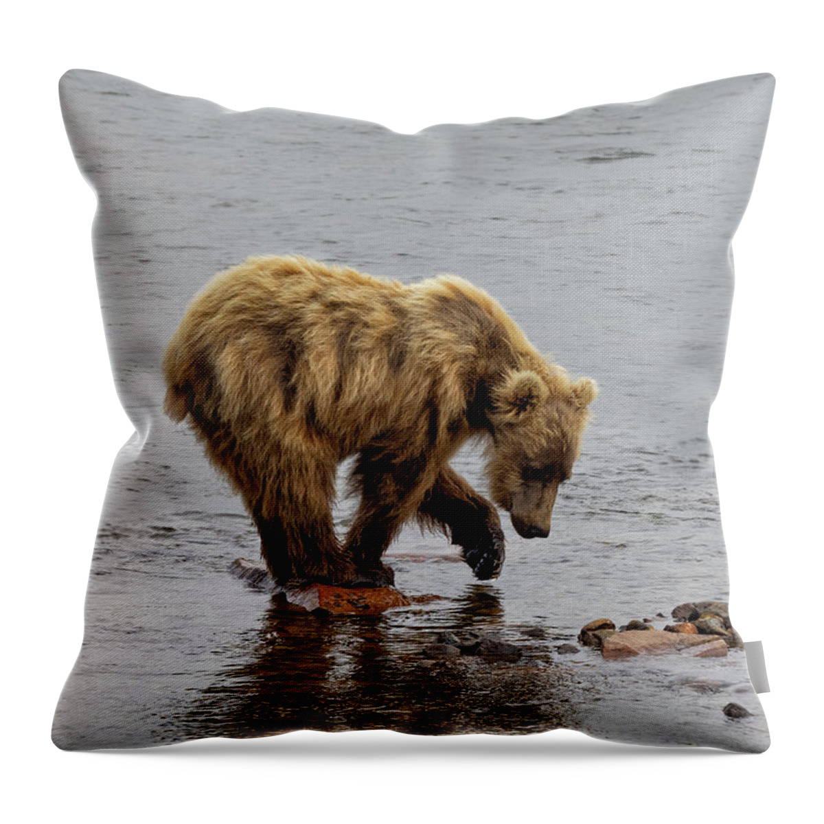 Alaska Throw Pillow featuring the photograph What Do You See by Cheryl Strahl