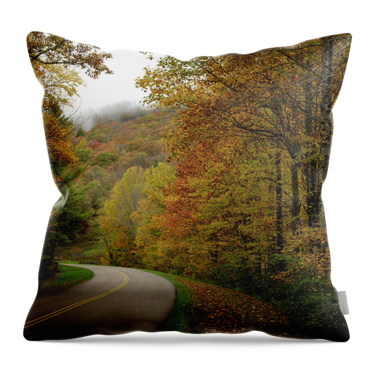 Curvy Road Throw Pillow featuring the photograph What's Next? by Steve Templeton