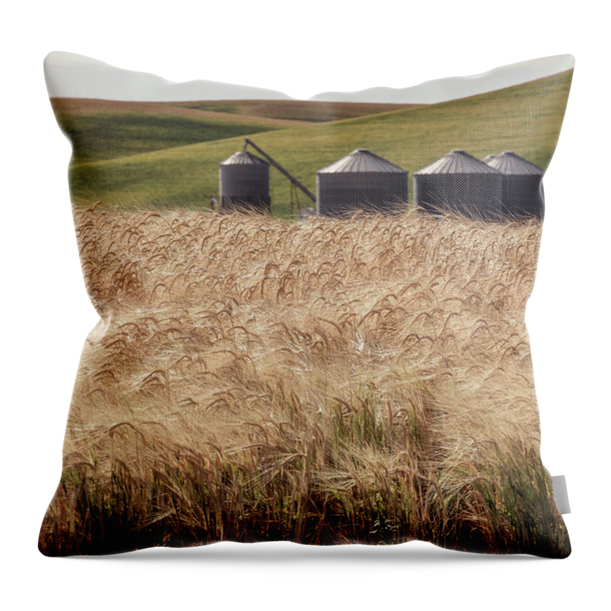 Farm Throw Pillow featuring the photograph Wheat Fields and Silos by Connie Carr
