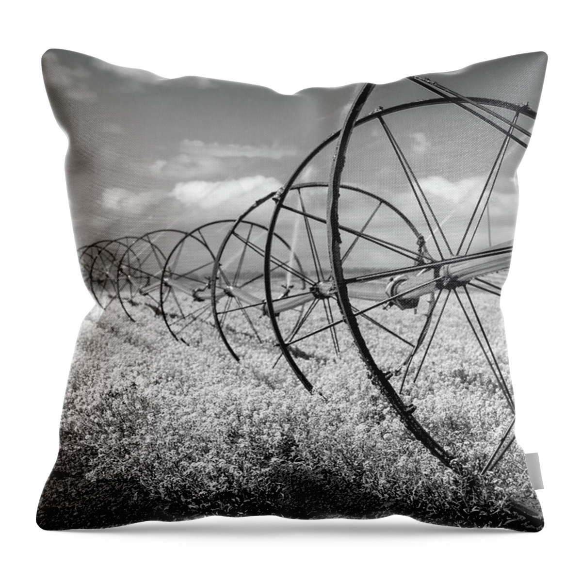 Wheel Throw Pillow featuring the photograph Wheel Irrigation Sprinkler and Rows of Flowers by Catherine Avilez