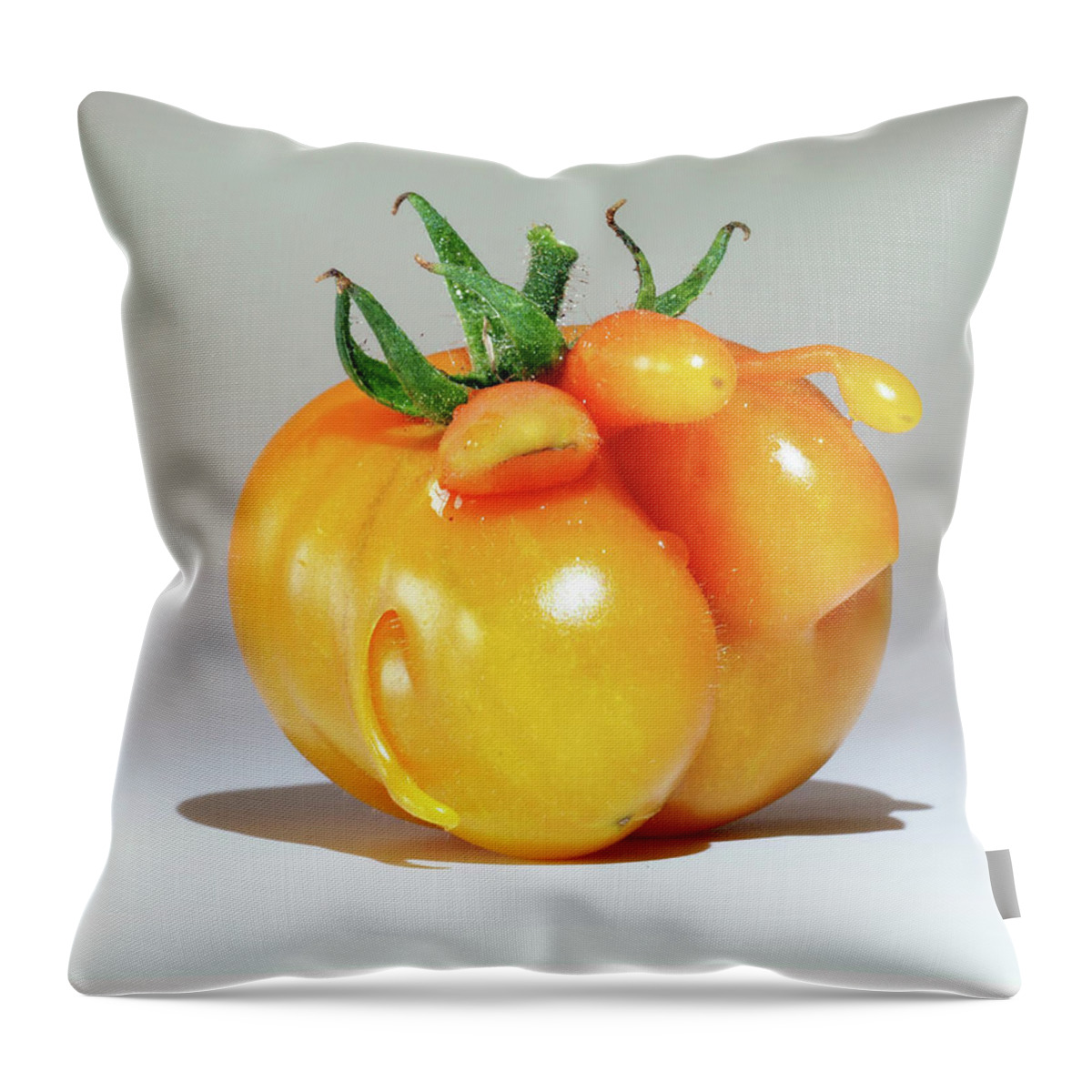 Heirlooms Throw Pillow featuring the photograph When Mr. Stripey's Genes Go Awry by Joe Schofield