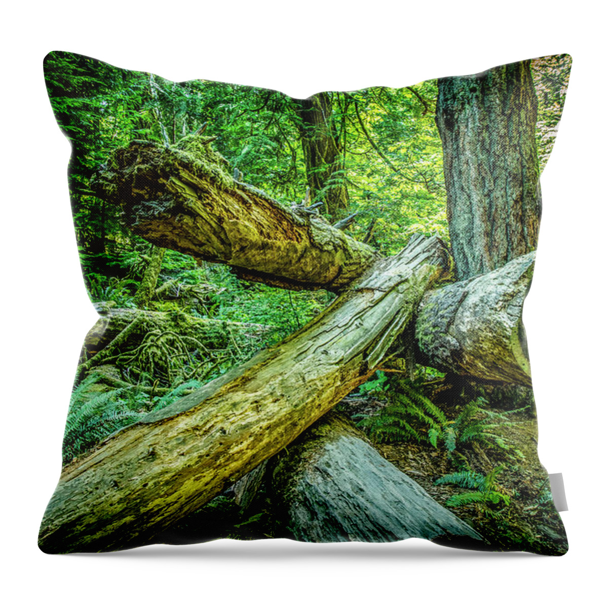 Old Growth Forest Throw Pillow featuring the photograph When the Wind Blows Cathedral Grove by Roxy Hurtubise