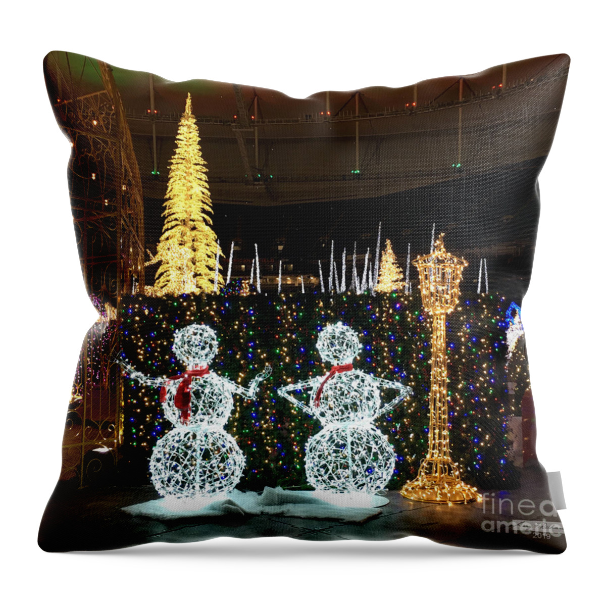 Stpetersburg Throw Pillow featuring the photograph Where Is My Top Hat by Gary F Richards