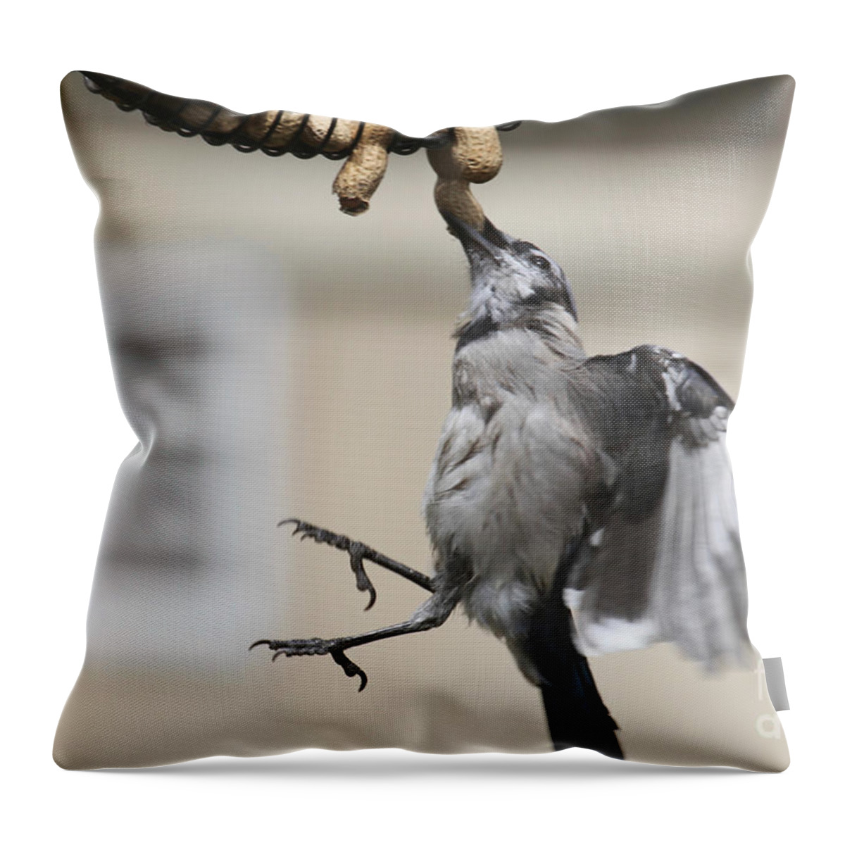 Wildlife Throw Pillow featuring the photograph Where There's A WIll by Patricia Youngquist