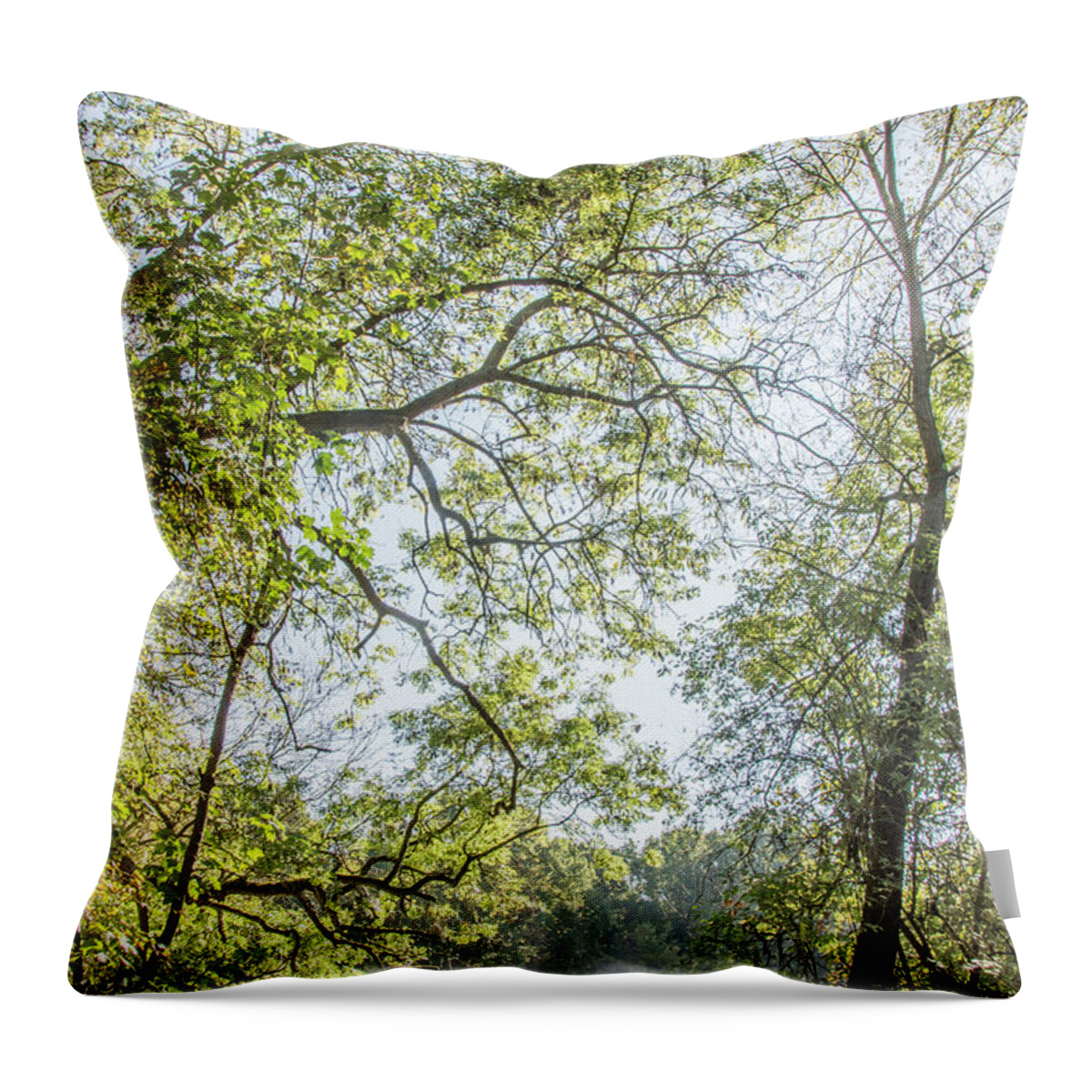 Whetstone Stray Throw Pillow featuring the photograph Whetstone Stray Trees Fall 2 by Edmund Peston