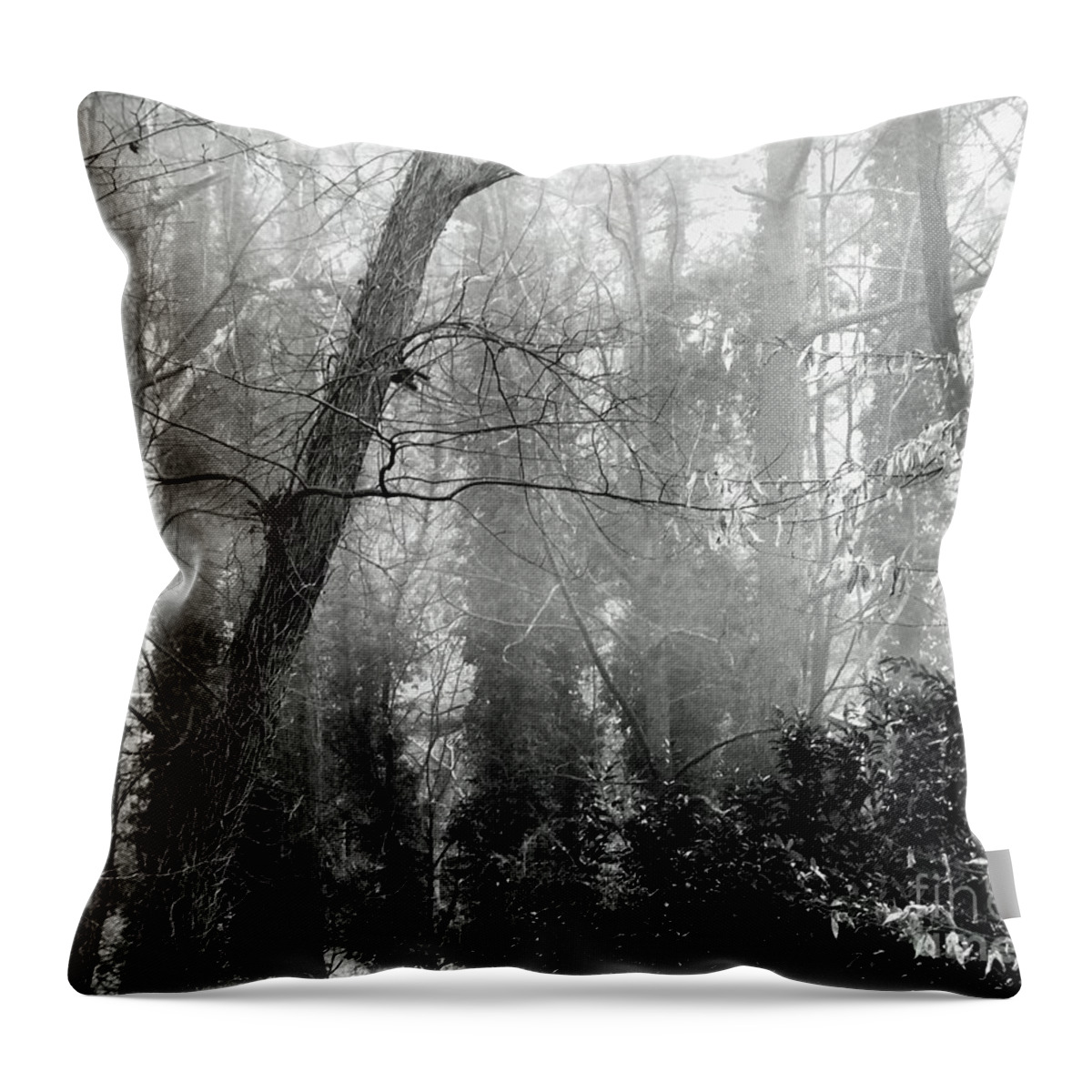 Fog Throw Pillow featuring the photograph Whitby65 Floodplain Forest by Lizi Beard-Ward