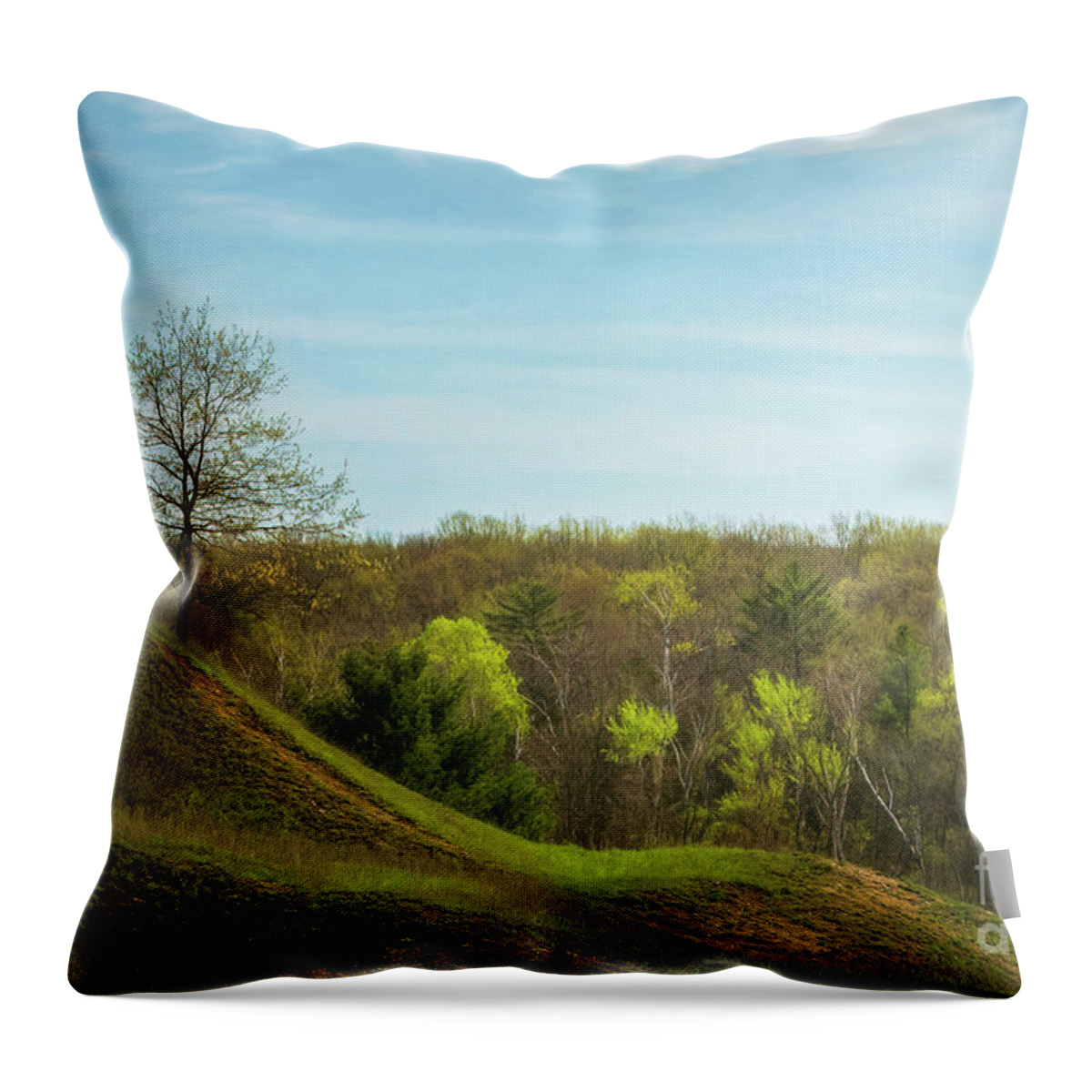 Nature Throw Pillow featuring the photograph Whitcomb Creek Bud Break by Trey Foerster