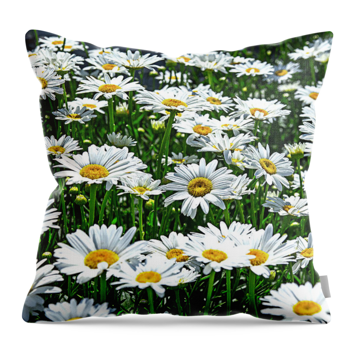 White Yellow Flowers Field Throw Pillow featuring the photograph White and Yellow Flowers in a Field by David Morehead
