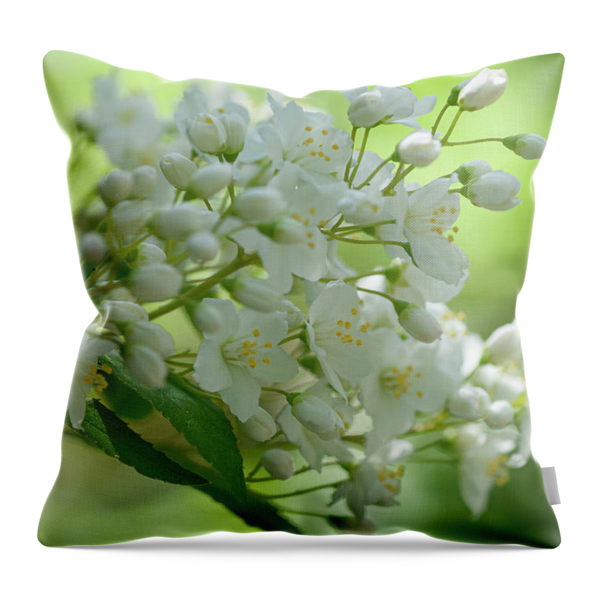  Throw Pillow featuring the photograph White Blooms Of Slender Deutzia 6 by Jenny Rainbow