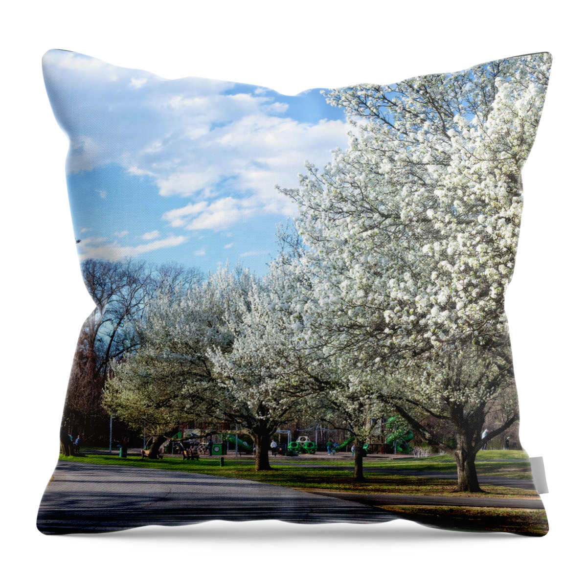 Park Throw Pillow featuring the photograph White Blossoms Blend Into The Clouds Pano by Brian Wallace