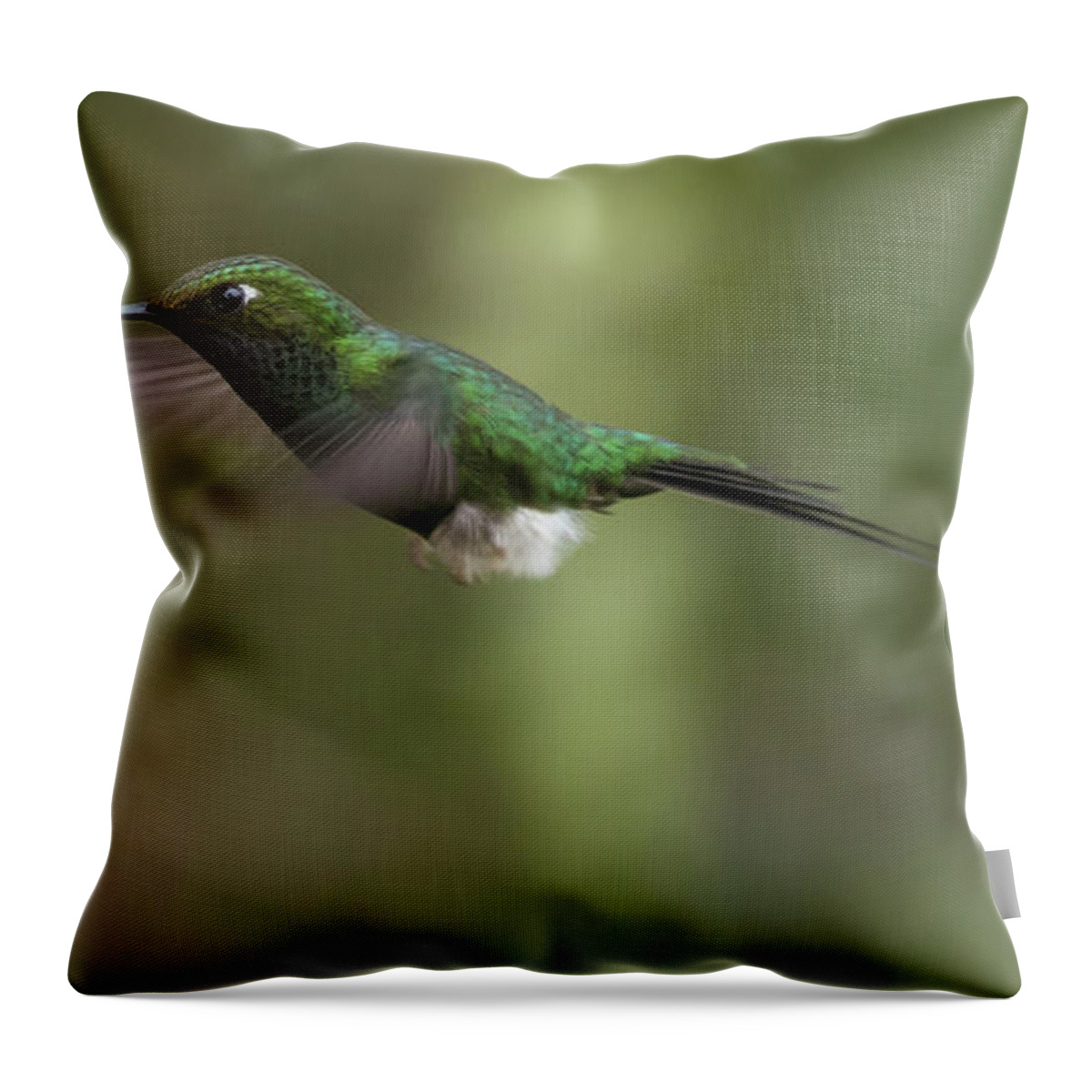 White-booted Racket-tail Throw Pillow featuring the photograph White-Booted Racket-Tail by Eva Lechner