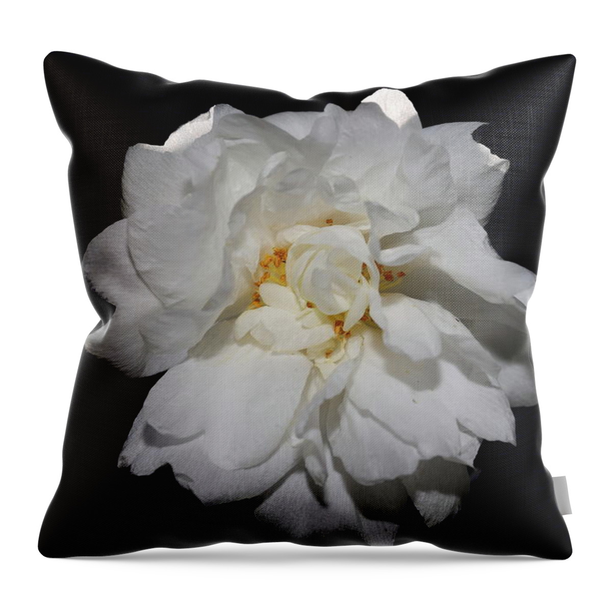 Camellia Throw Pillow featuring the photograph White Camellia II by Mingming Jiang