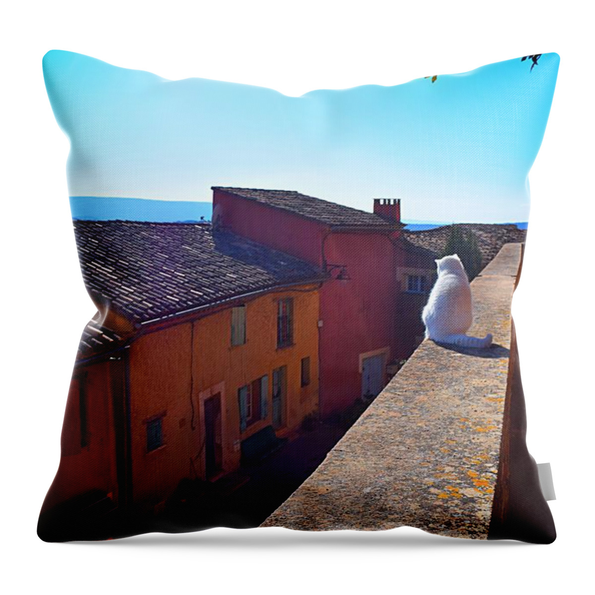 Cat Throw Pillow featuring the photograph White Cat on the Edge Photo 191 by Lucie Dumas