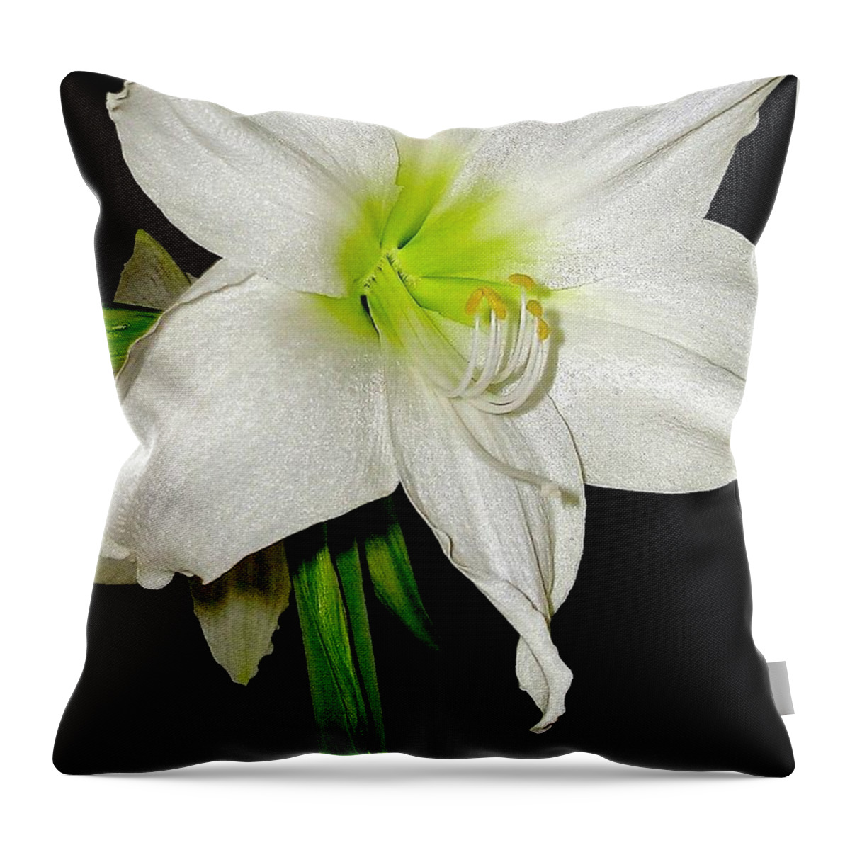 White Christmas Throw Pillow featuring the photograph White Christmas by James Temple