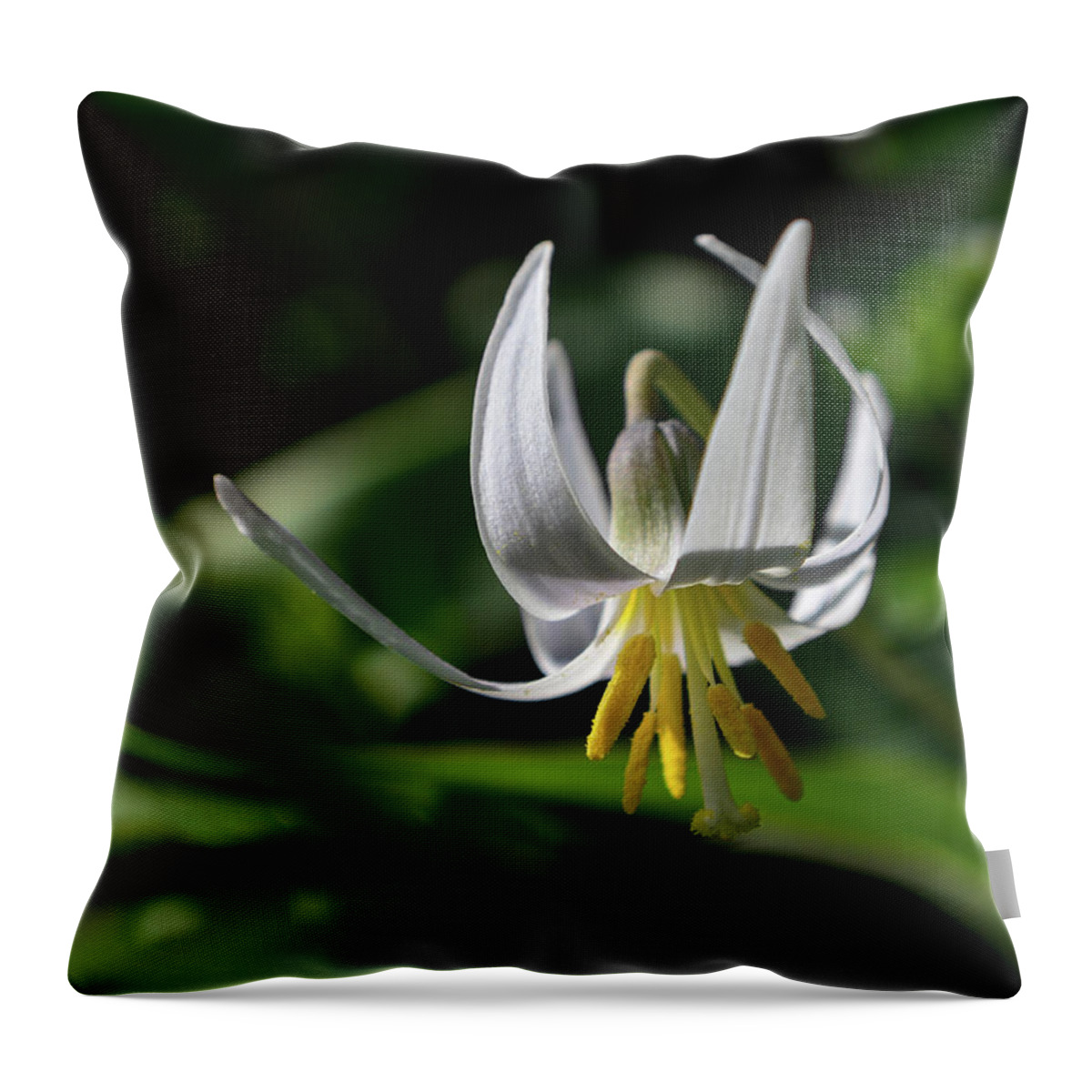 Wildflowers Throw Pillow featuring the photograph White Fawnlily by Tana Reiff