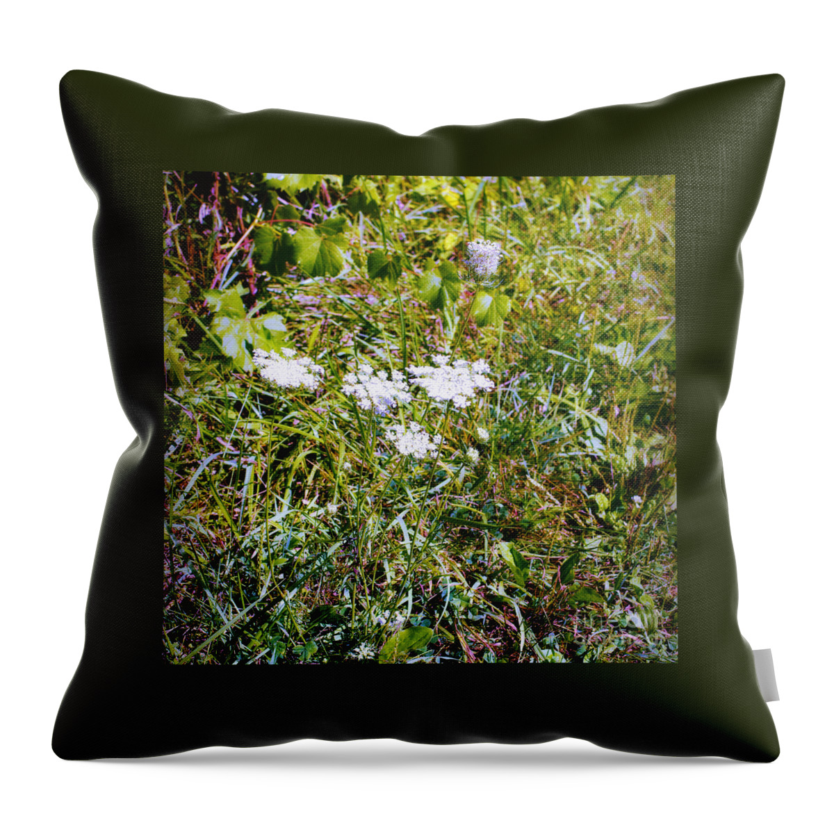 White Flowers Throw Pillow featuring the photograph White Flowers in the Prairie - Square by Frank J Casella