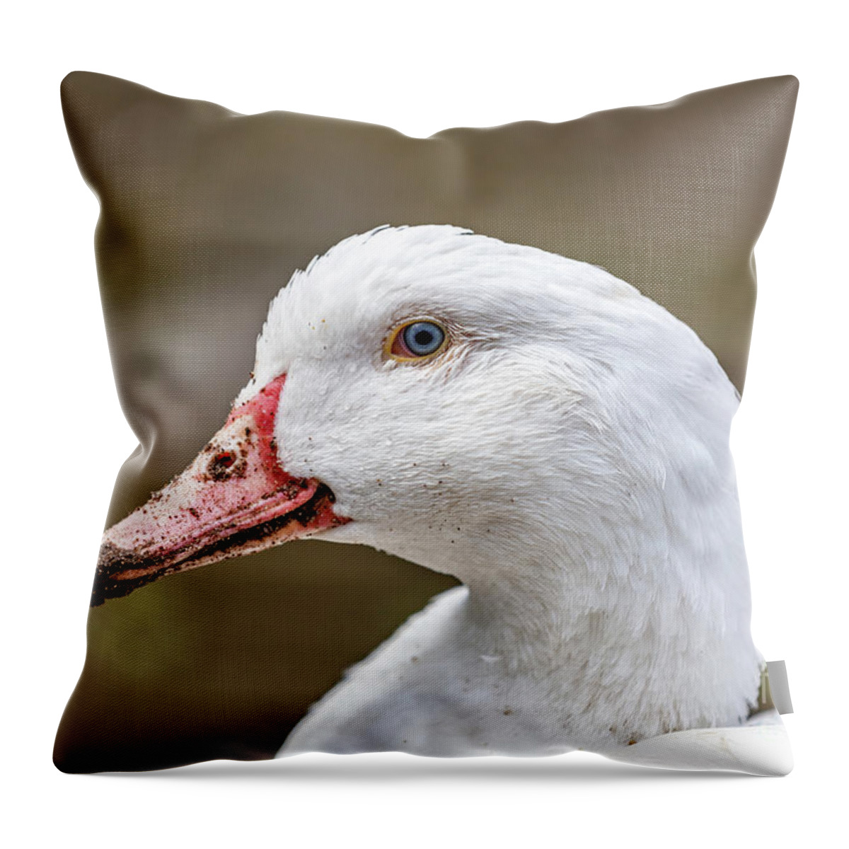 Goose Throw Pillow featuring the photograph White goose close-up face portrait. by Michal Bednarek
