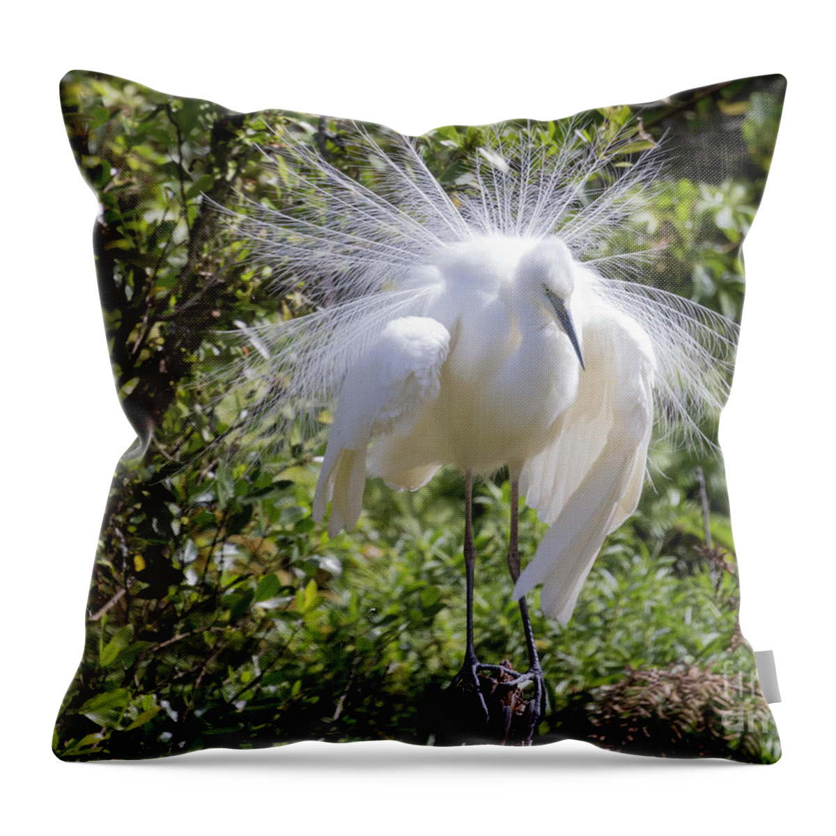 White Heron Throw Pillow featuring the photograph White Heron by Eva Lechner