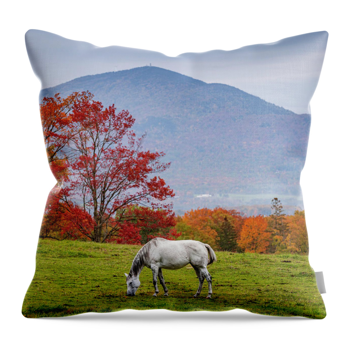 Vermont Throw Pillow featuring the photograph White Horse in Fall by Tim Kirchoff