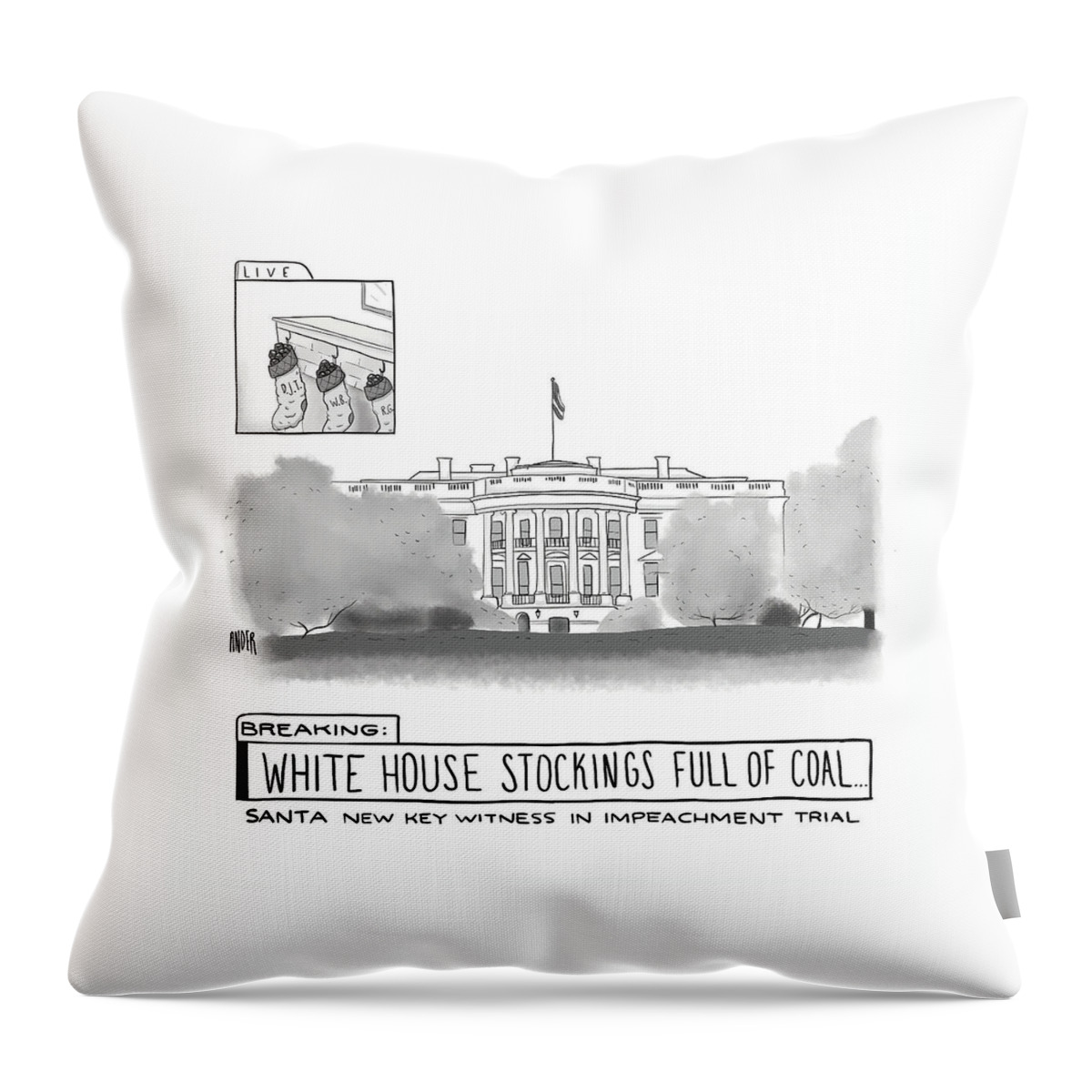 White House Stockings Throw Pillow