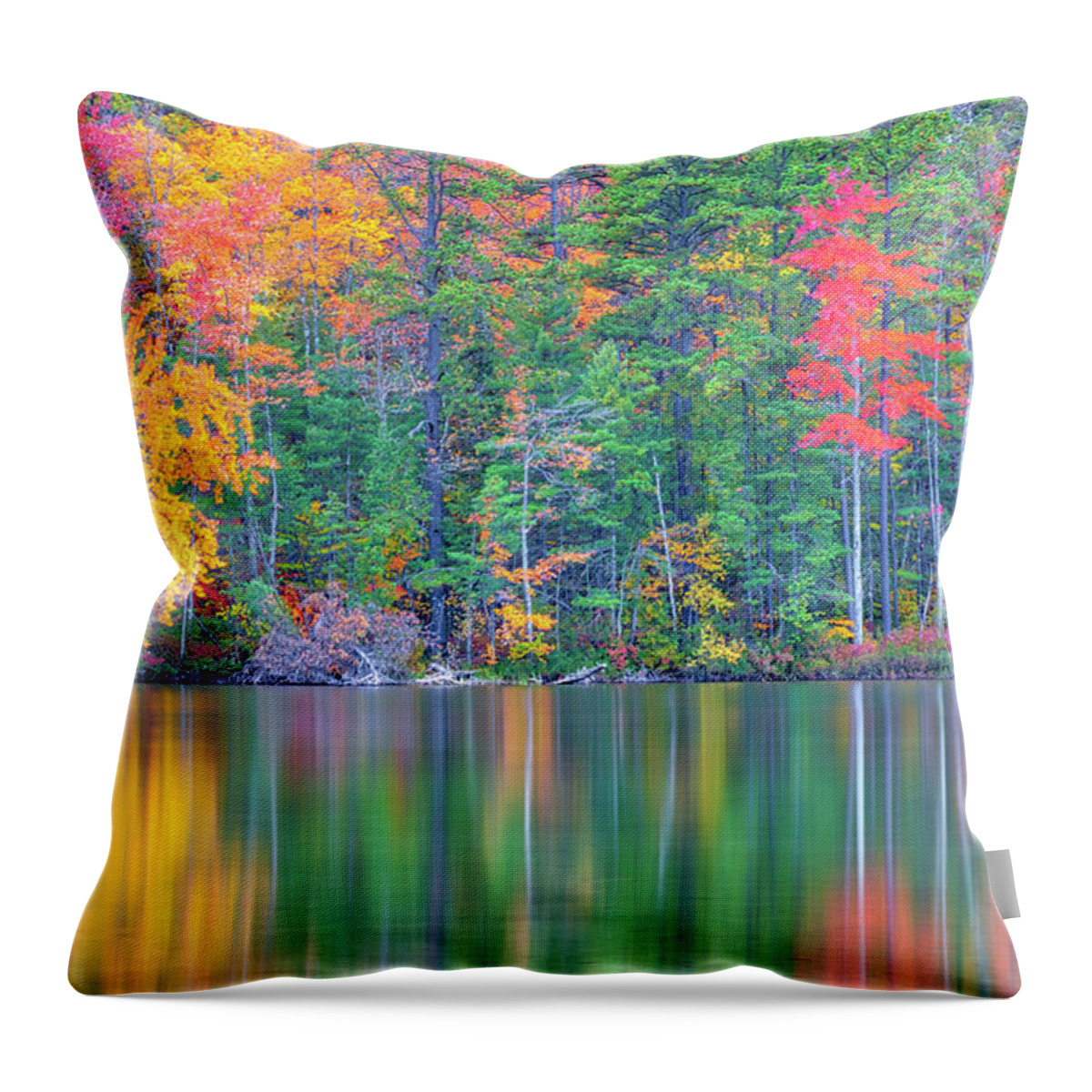 White Lake State Park Throw Pillow featuring the photograph White Lake State Park by Juergen Roth