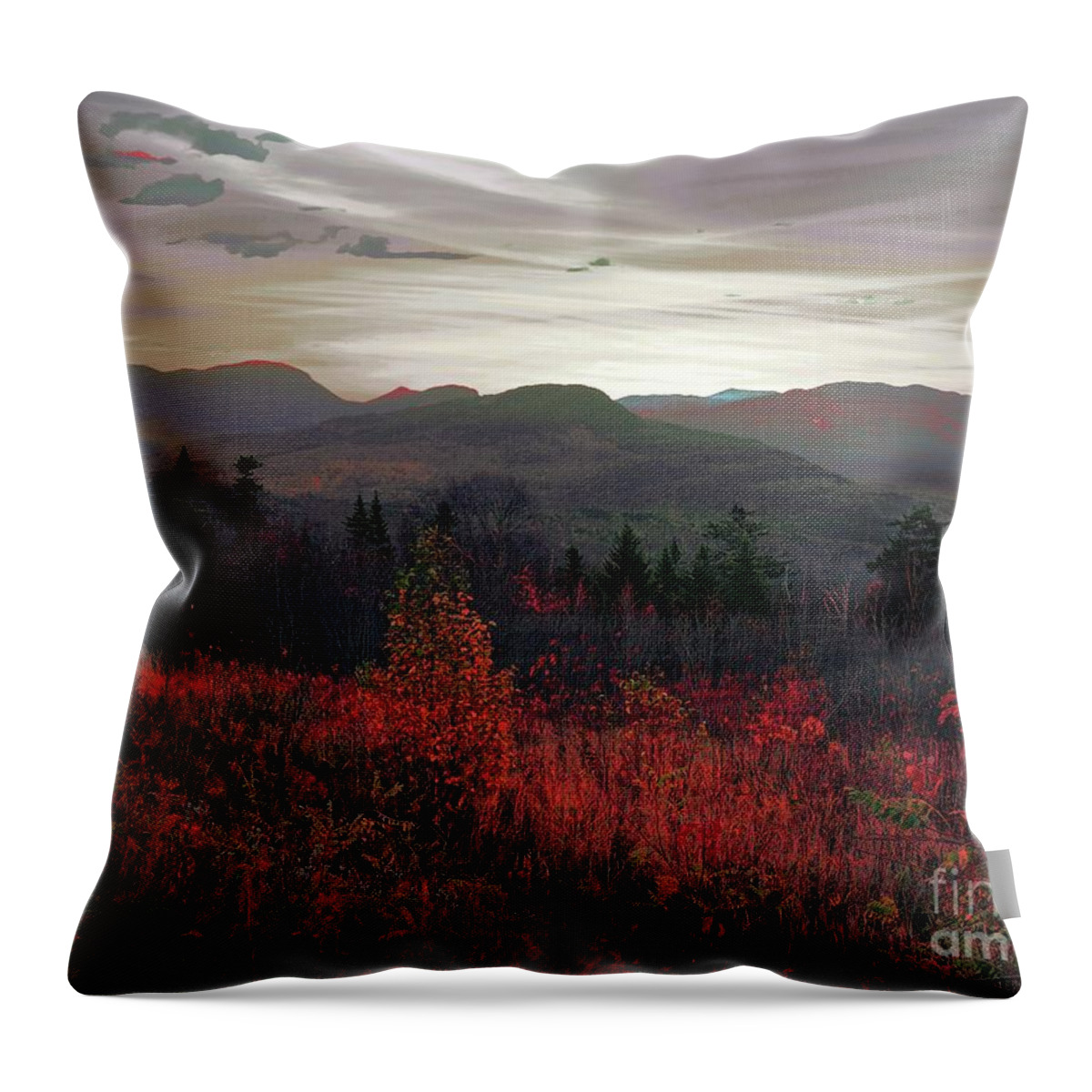  Throw Pillow featuring the photograph White Mountains #4 by Marcia Lee Jones