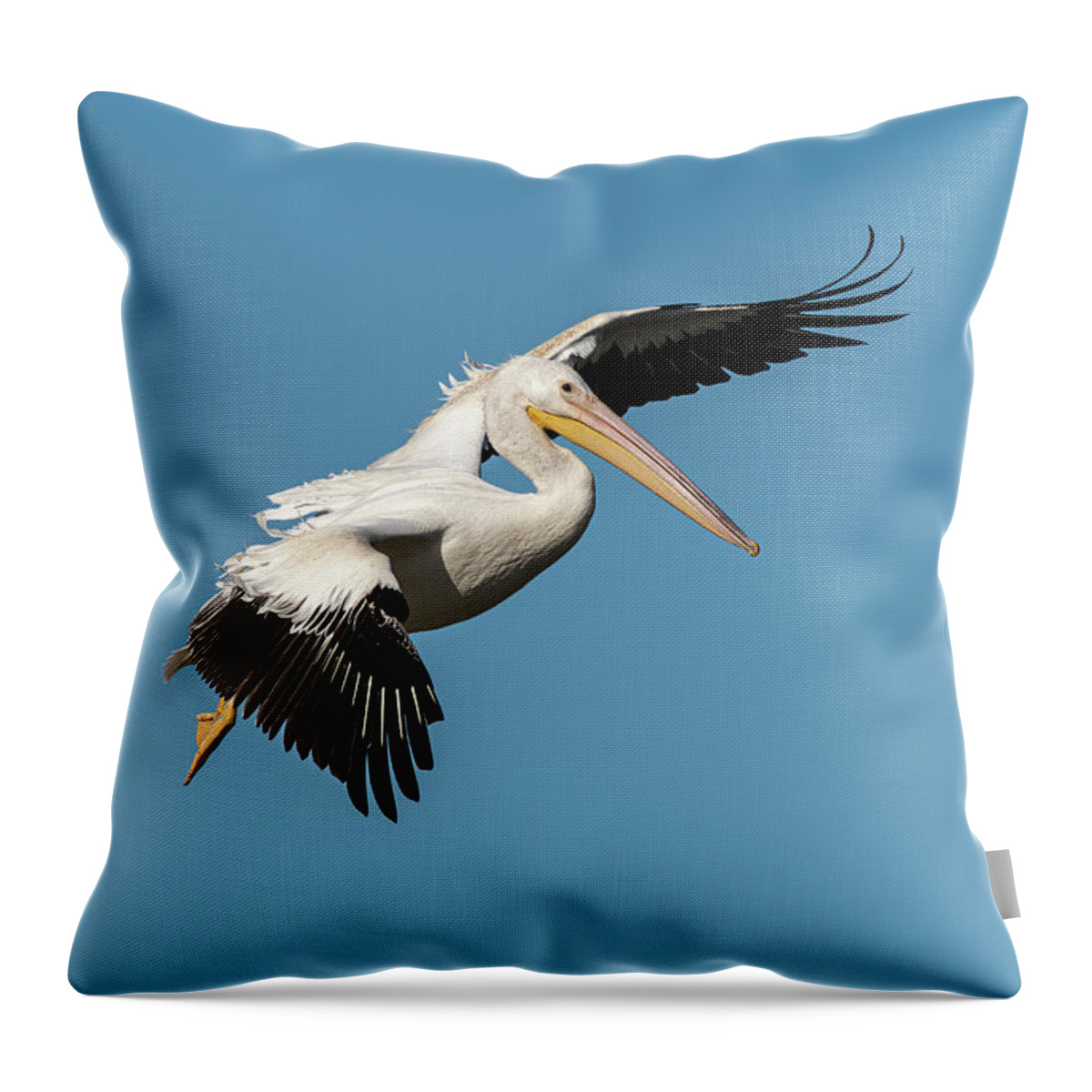 American White Pelican Throw Pillow featuring the photograph White Pelican Coming In For A Landing 2020-2 by Thomas Young