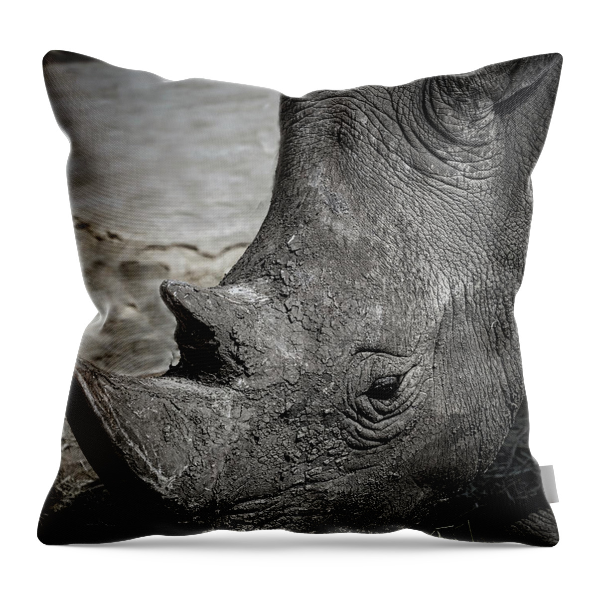 Rhinoceros Throw Pillow featuring the photograph White Rhino by Rene Vasquez