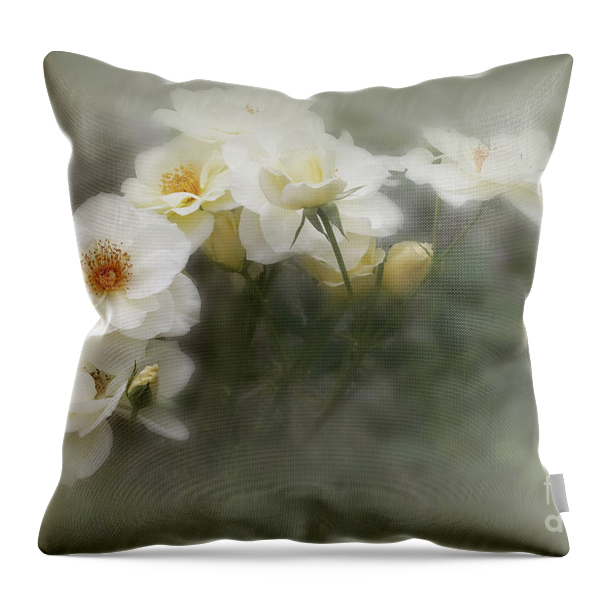 Roses Throw Pillow featuring the photograph White Roses 2 by Elaine Teague