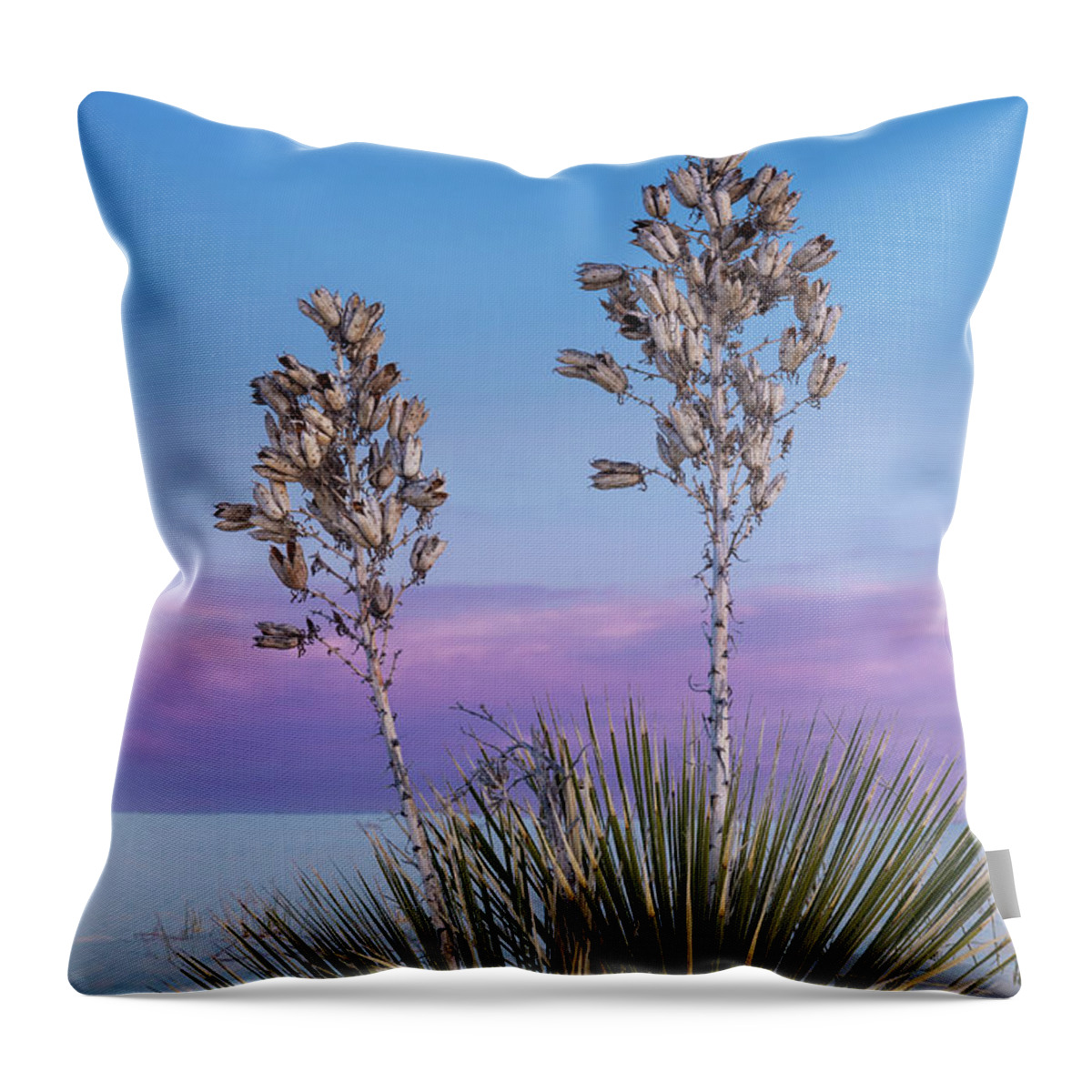 Southwest Throw Pillow featuring the photograph White Sands Beauty by Sandra Bronstein