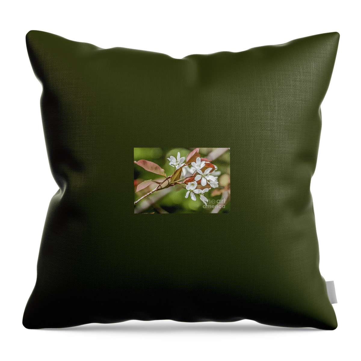 Flowers Throw Pillow featuring the photograph White Spring Flowers by Marie Fortin
