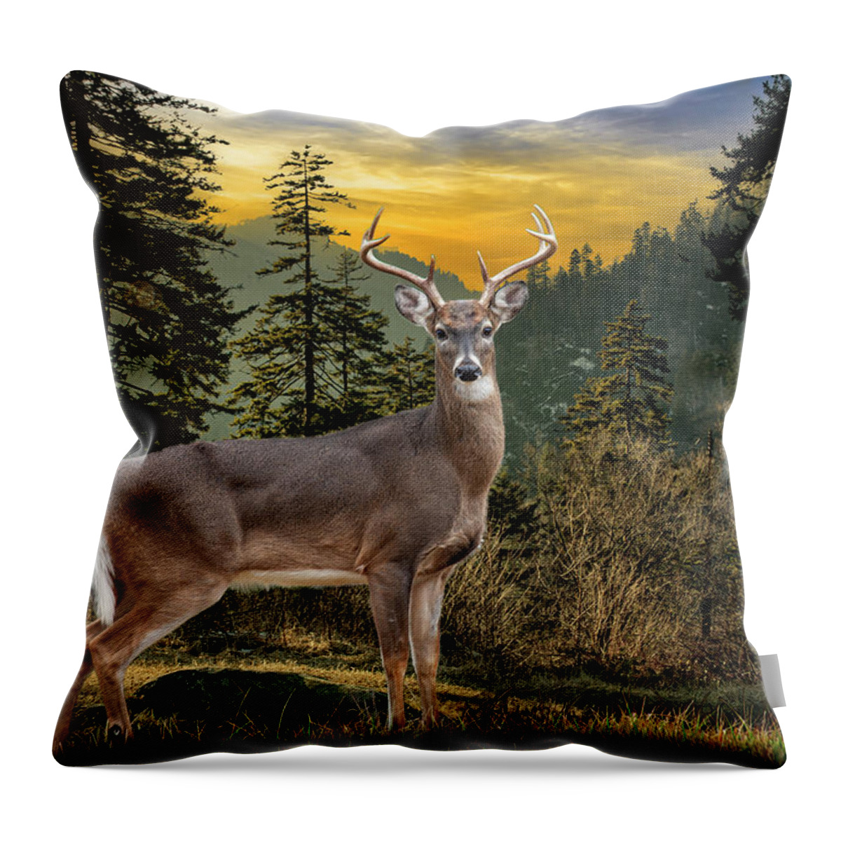 Art Throw Pillow featuring the photograph White Tailed Deer in the Smokey Mountains by Randall Nyhof