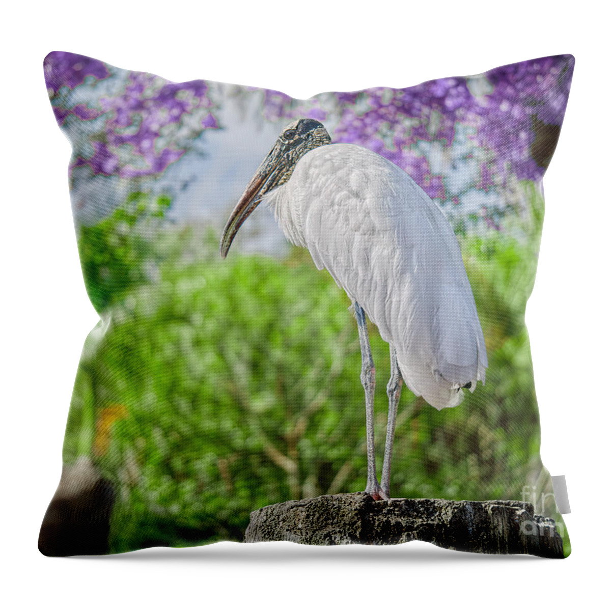 Birds Throw Pillow featuring the photograph White Wood Stork by Judy Kay