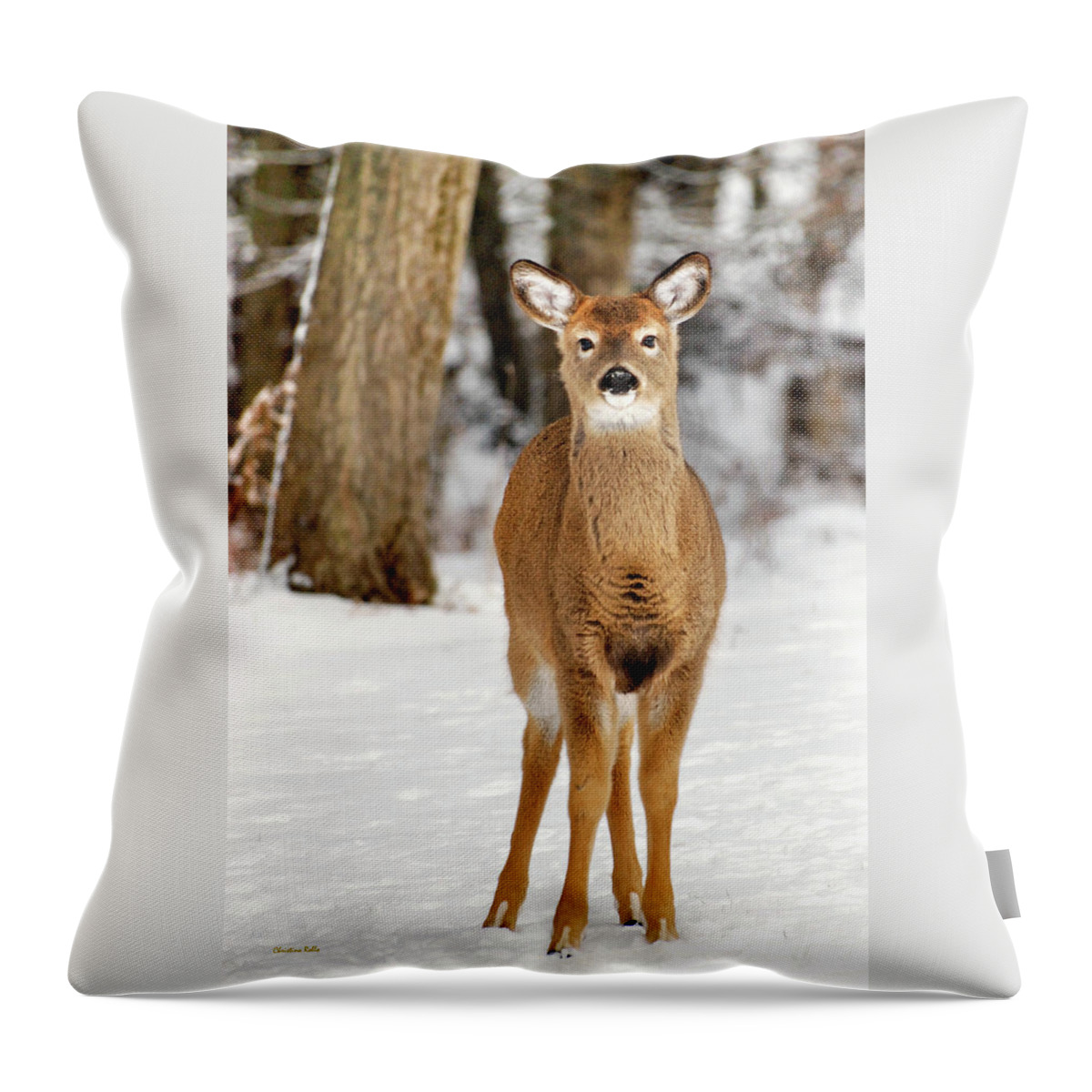 Deer Throw Pillow featuring the photograph Whitetail in Snow by Christina Rollo