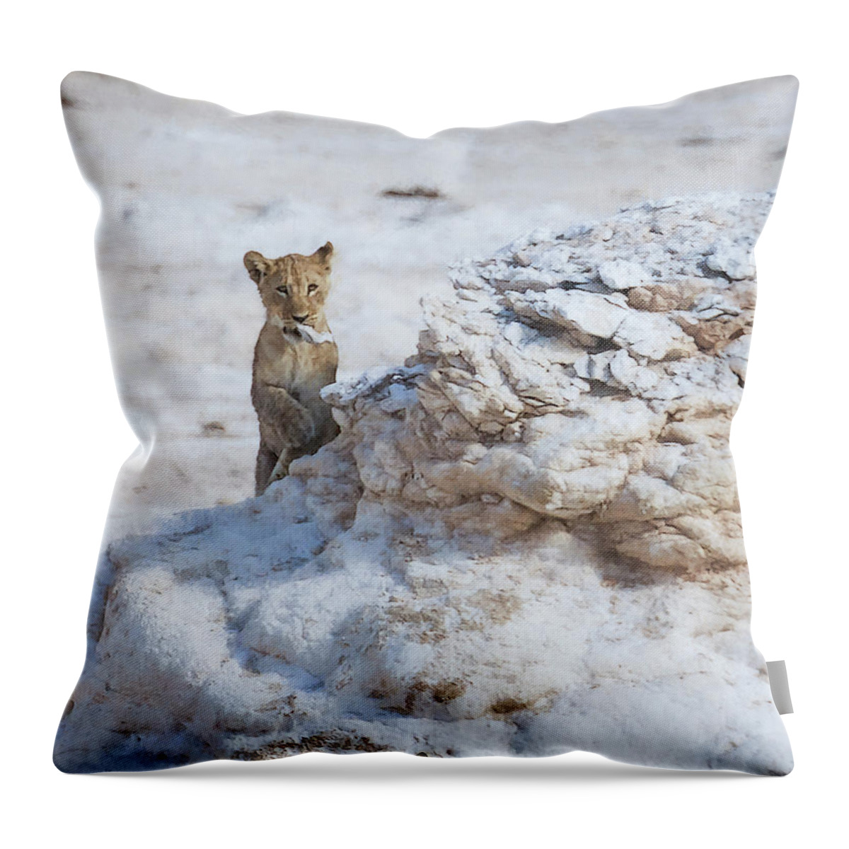 Lion Throw Pillow featuring the photograph Why Nap When You Can Play, No. 2 by Belinda Greb