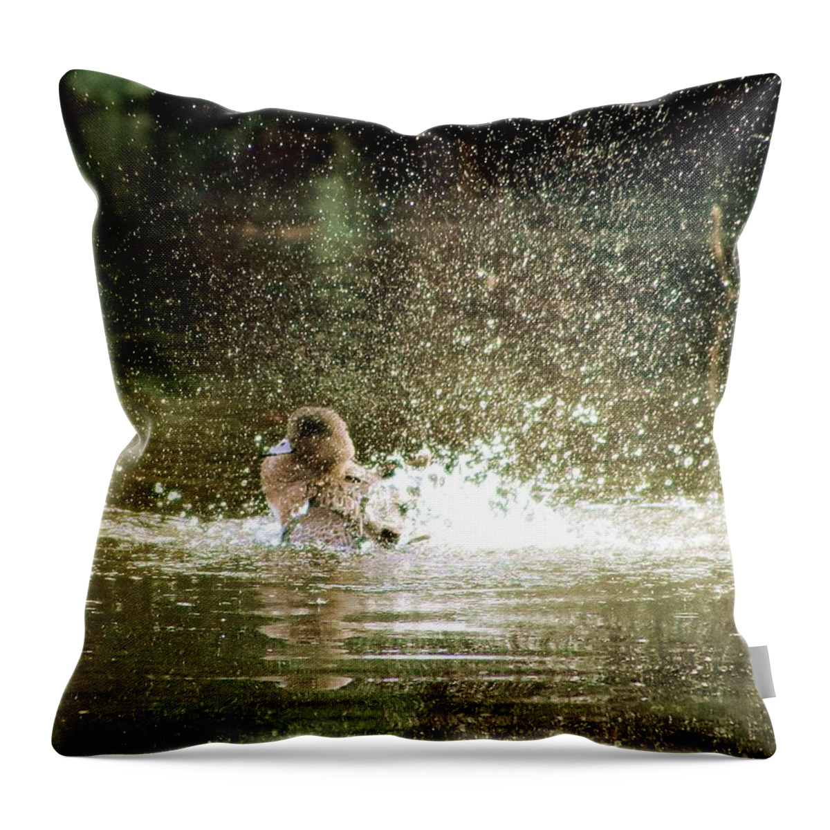 Widgeon Throw Pillow featuring the photograph Widgeon Washup by Kimberly Furey