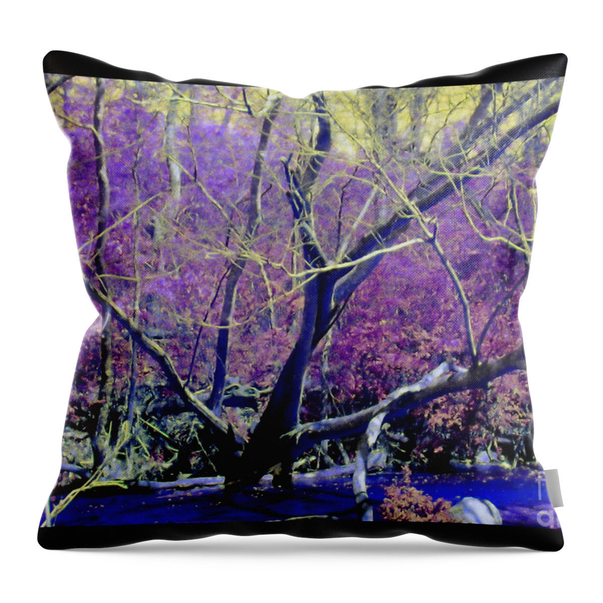  Throw Pillow featuring the photograph Wild Branches by Shirley Moravec