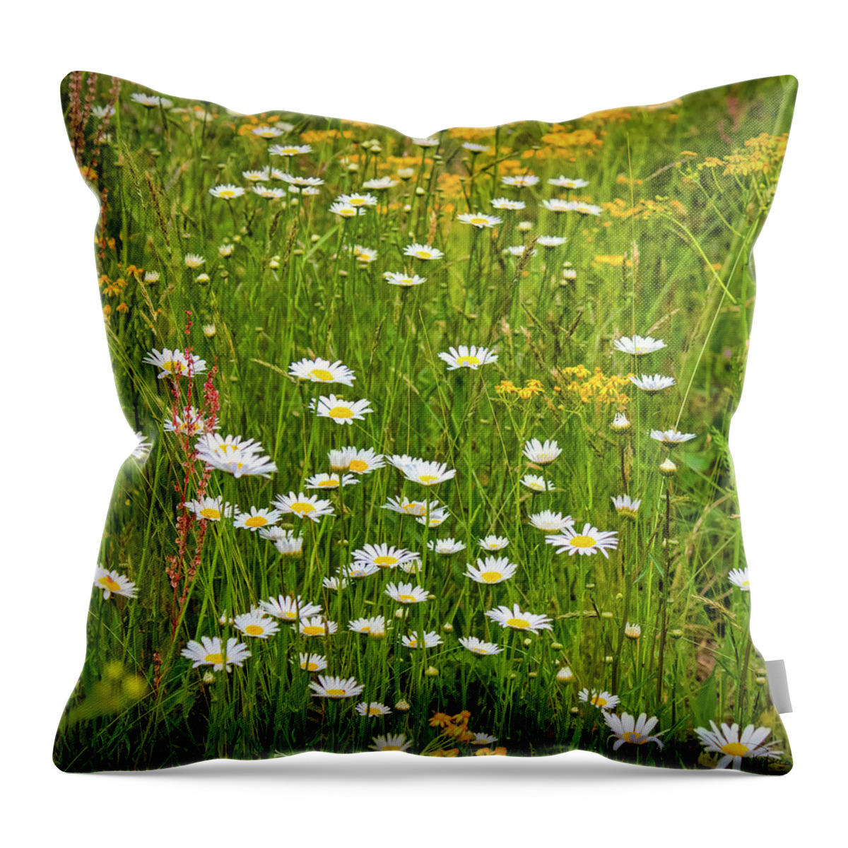 Wild Daisy River Throw Pillow featuring the photograph Wild Daisy River South Carolina by Bellesouth Studio