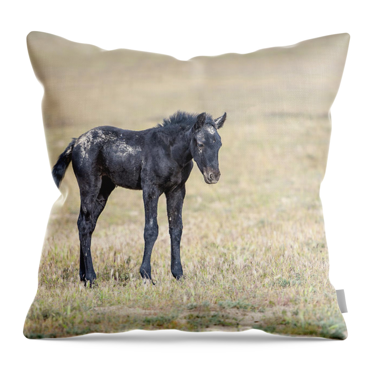 Horse Throw Pillow featuring the photograph Wild Filly in the Desert by Fon Denton