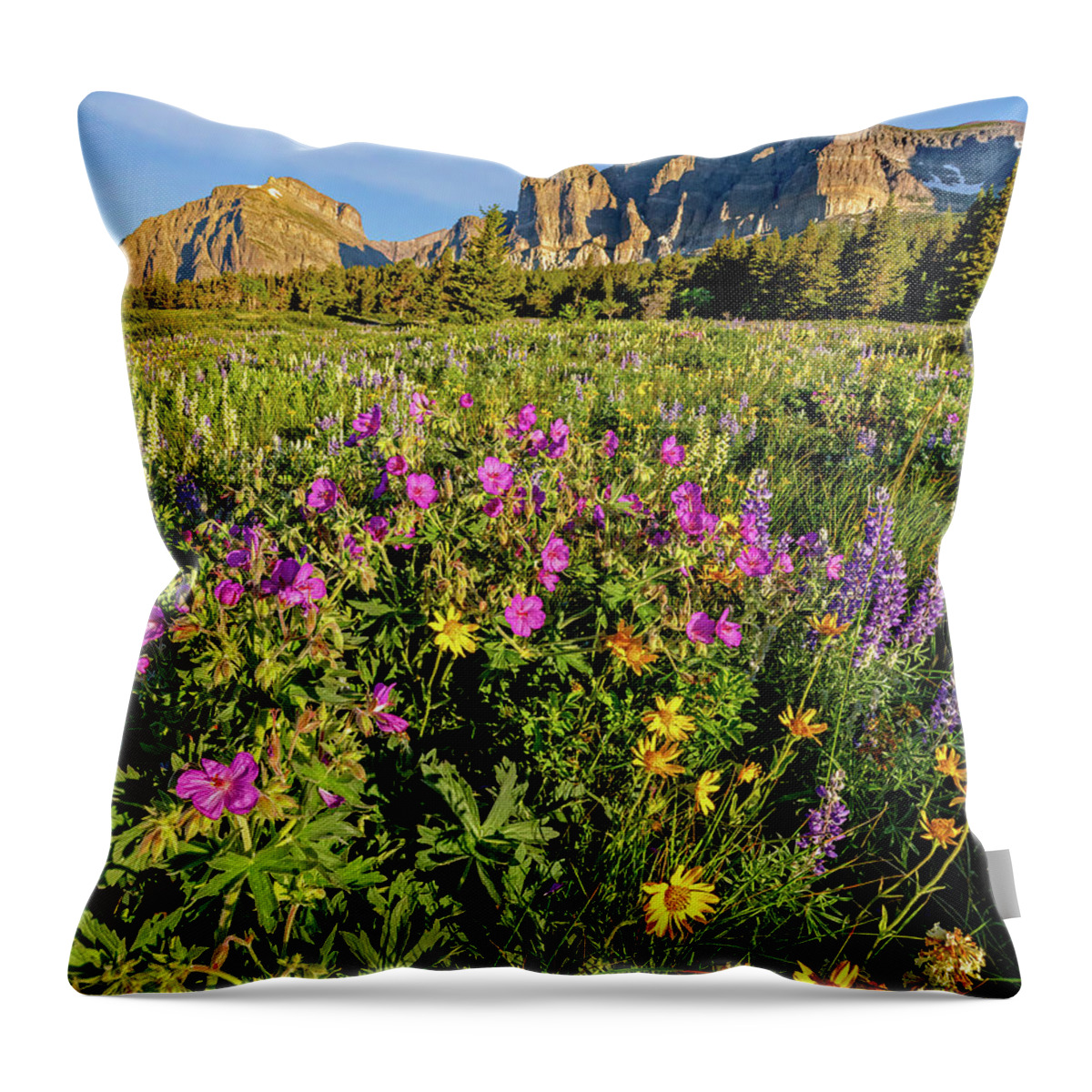 Glacier National Park Throw Pillow featuring the photograph Wild Flowers at Glacier National Park by Jack Bell