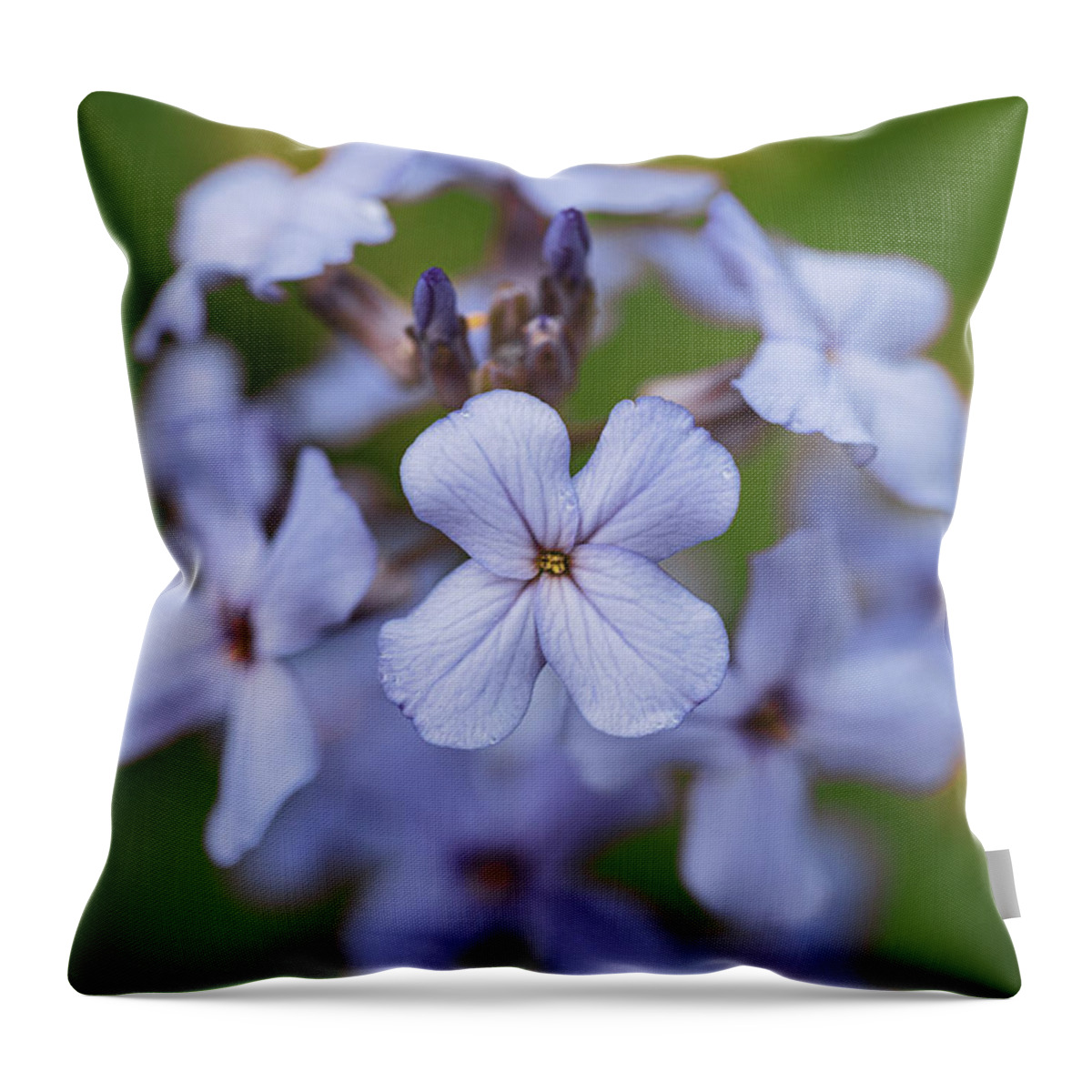 Plants Throw Pillow featuring the photograph Wild Flowers in Blue by Amelia Pearn