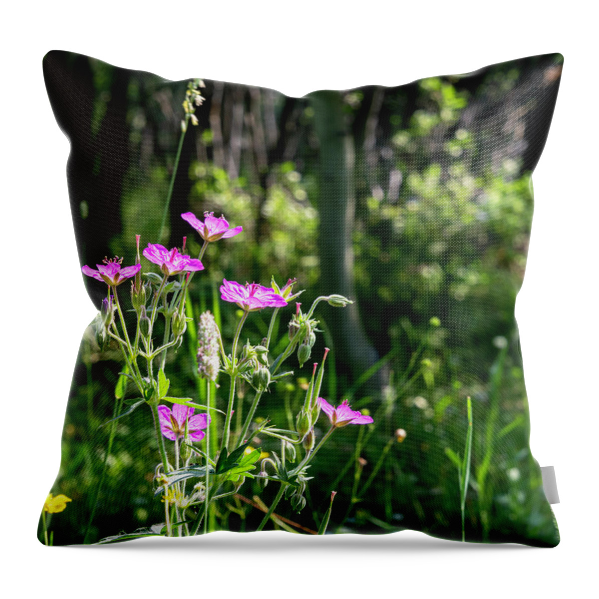 2020-08-01 Throw Pillow featuring the photograph Wild Geranium by Phil And Karen Rispin