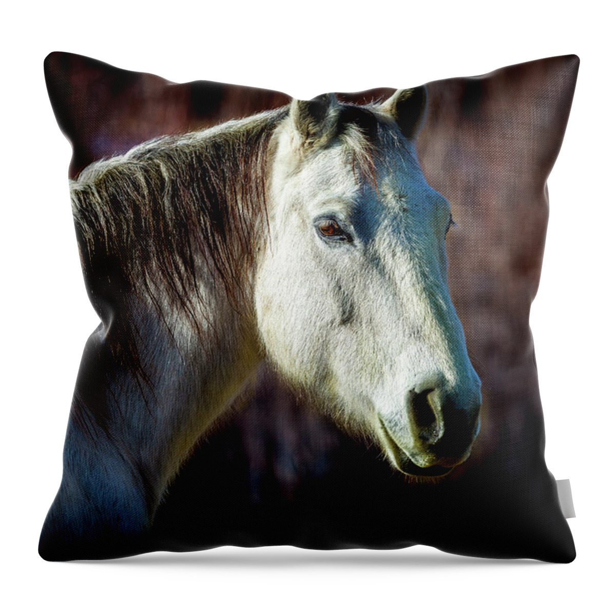 Horse Throw Pillow featuring the photograph Wild Horse No. 1 by Craig J Satterlee